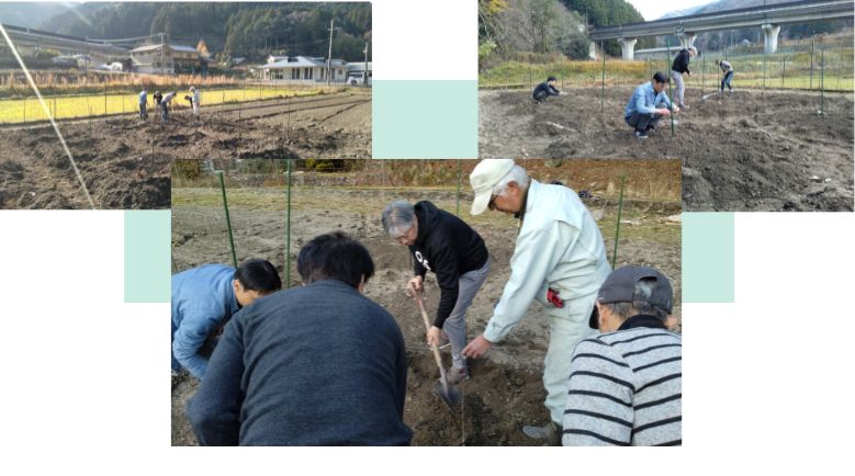 有限会社やよい・畑特産物生産出荷組合（朝倉さんしょ栽培事業）